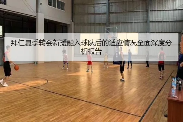 拜仁夏季转会新援融入球队后的适应情况全面深度分析报告